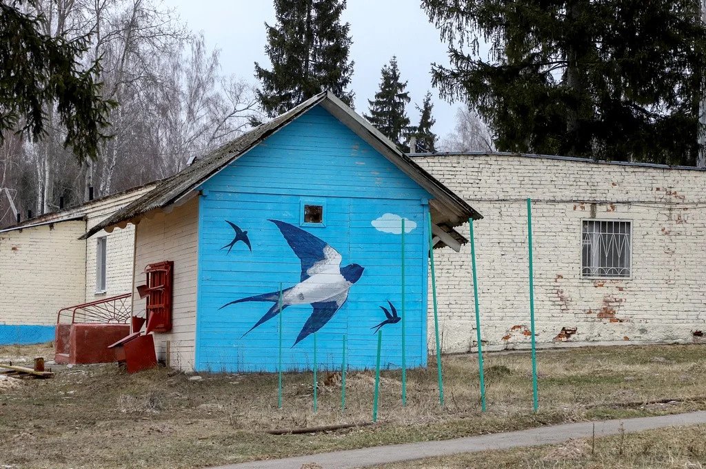 Фото Ласточка 2
