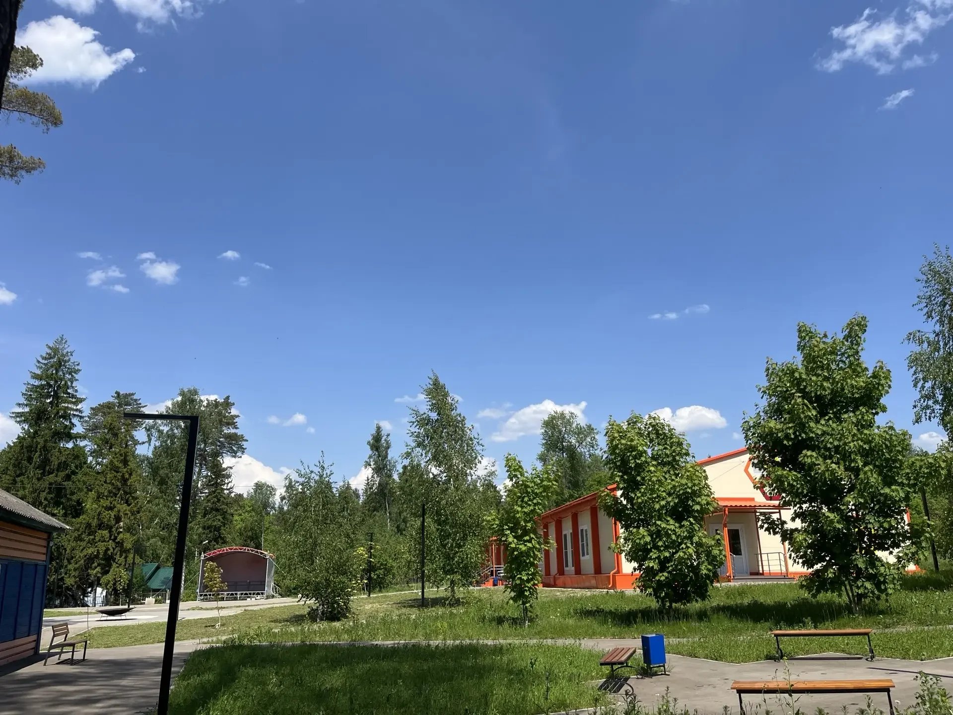 Фото Ласточка 1