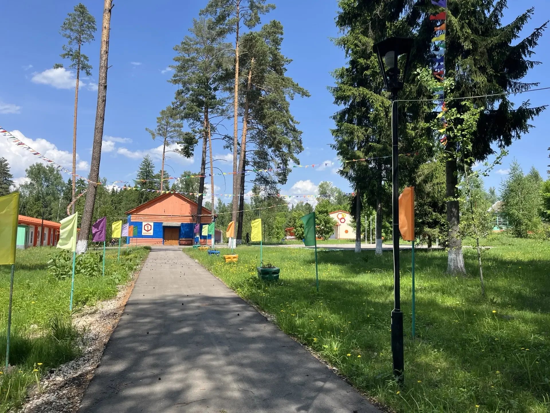 Фото Ласточка 9