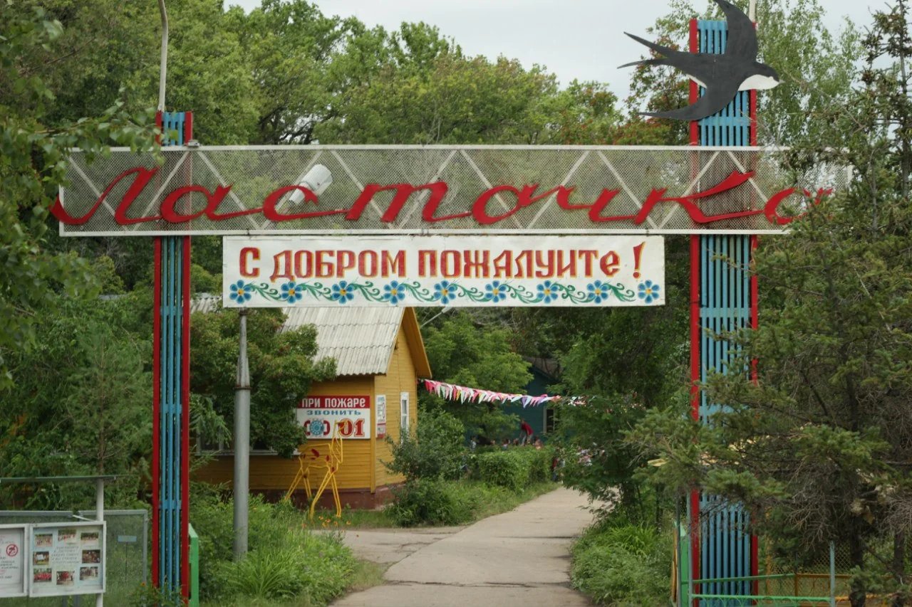 Фото Ласточка 6